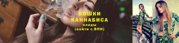 mix Снежногорск