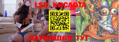 стаф Краснодар