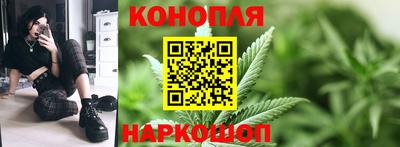 гашик Краснознаменск