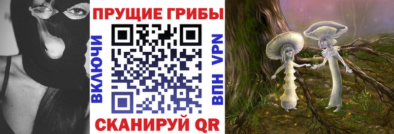 Псилоцибиновые грибы Psilocybine cubensis  Качканар 